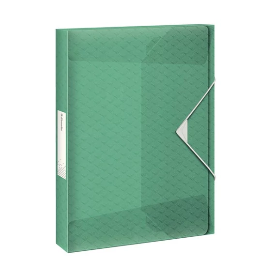 Gumis mappa ESSELTE Colour Breeze Jumbo A/4 25mm PP zöld